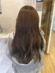 -YESIDO椰岛造型