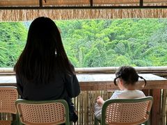 -西双版纳原始森林公园