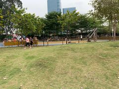 -海珠儿童公园