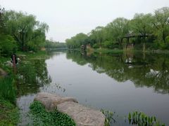 -新江湾城公园