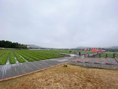 -古田会议纪念馆