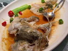 -老伙记海鲜码头(北滘店)