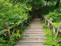-香山公园