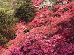 -木兰云雾山