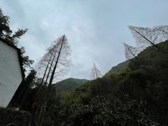 -山沟沟景区