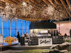 -Seesaw Coffee(朝阳大悦城店)