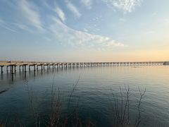 -星海湾跨海大桥