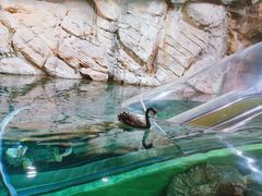 -上海海洋水族馆