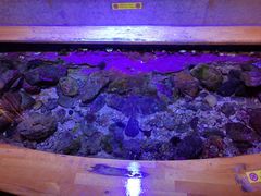 -西海国立公园九十九岛水族馆