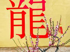 -莘庄梅园