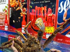 -驻海渔市(置信店)