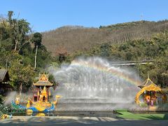 -西双版纳原始森林公园