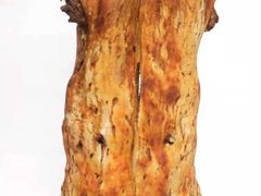 -黄家烤肉(建设路店)