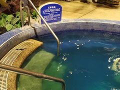 -天泉水都(子固路馆)