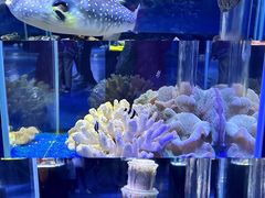 -海合安天津极地海洋公园