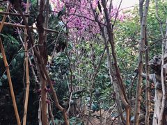-小仙居·农家宴烤羊· 农庄