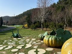 -棒棰岛宾馆景区