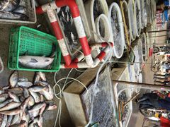 江杨农产品批发市场-江杨农产品批发市场