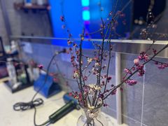 -METIS FITNESS女性健身工作室