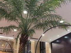 -逸派咖啡 EPARKCOFFEE(广安门店)