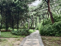 -元大都城垣遗址公园