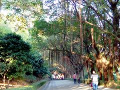 android_upload_pic-南沙天后宫景区