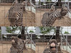 -迪茵湖田家舍生态农场