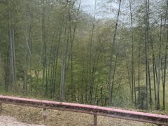 -巢湖姥山岛