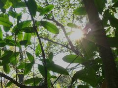 -杭州半山国家森林公园