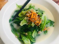 生菜-大树头森林餐厅(番禺广场店)