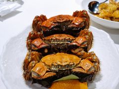 海派熟醉蟹-南麓·浙里(外滩店)