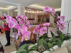 -天天渔港(杏林街店)