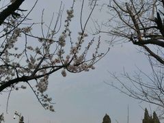 -云龙山