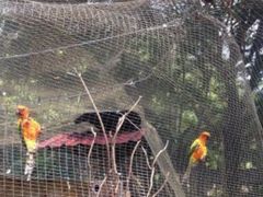 -吉隆坡雀鸟公园