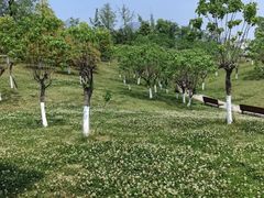 -桂溪生态公园
