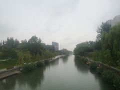 -大望京公园