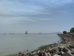 -上海滨江森林公园