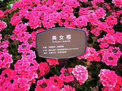 -北京植物园南门售票处
