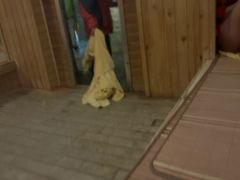 -咸宁温泉谷大酒店