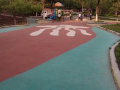 -大兴滨河森林公园