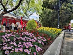 -北陵公园