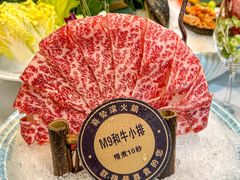-喜聚薈·花膠雞海鮮火鍋(越秀店)