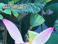 -荔湾湖公园