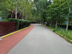 -南长河公园