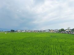 -新荟城(望京店)