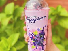 -快乐柠檬happylemon(日月光店)