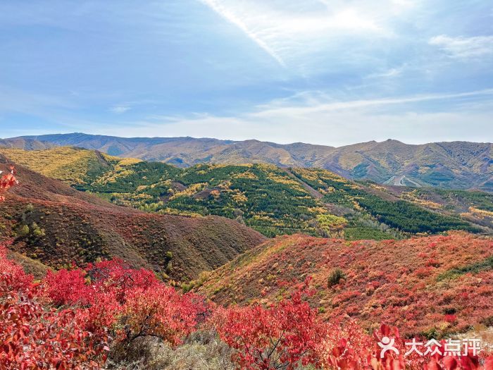 翠云山银河滑雪场图片