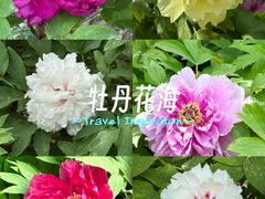 -太阳宫公园