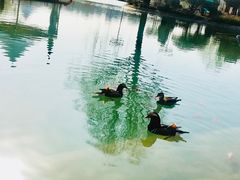 -西安曲江寒窑遗址公园