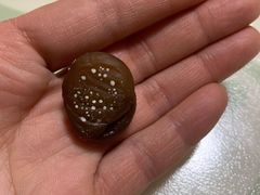 -二斗栗子(西湖道店)